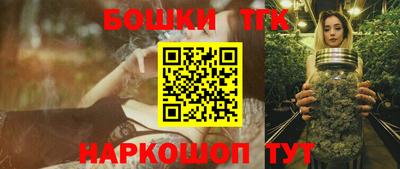 гашик Дубна