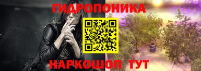 гашик Дубна