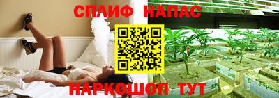 гашик Дубна