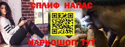 гашик Дубна